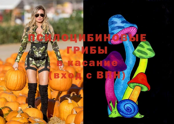 метадон Лихославль